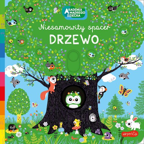 Drzewo Akademia mądrego dziecka Niesamowity spacer