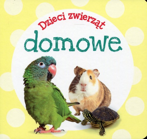 Dzieci zwierząt domowe