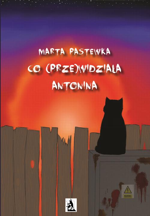 EBOOK Co (prze)widziała Antonina