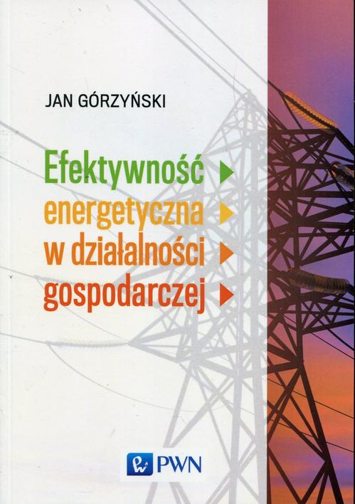 EBOOK Efektywność energetyczna w działalności gospodarczej