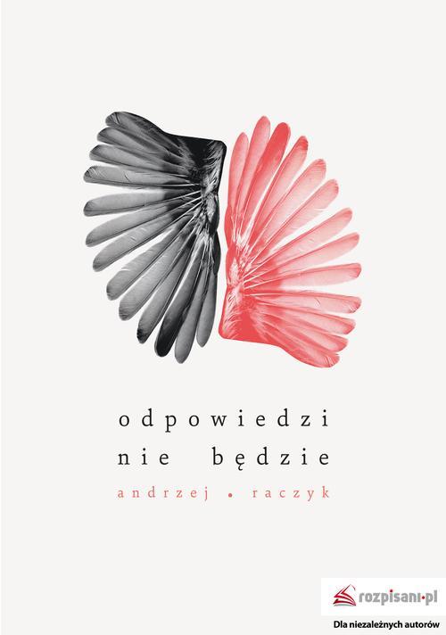 EBOOK Odpowiedzi nie będzie