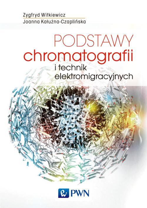 EBOOK Podstawy chromatografii i technik elektromigracyjnych