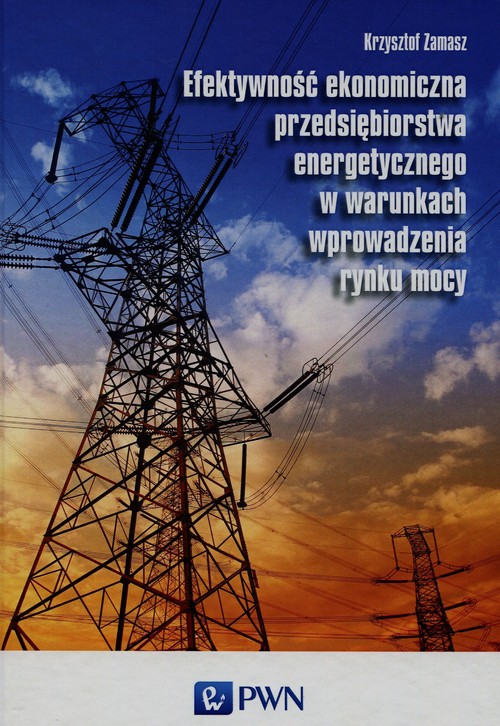 Efektywność ekonomiczna przedsiębiorstwa energetycznego w warunkach wprowadzenia rynku mocy