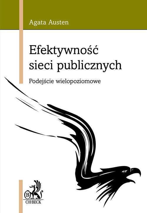 Efektywność sieci publicznych. Podejście wielopoziomowe