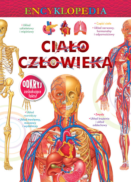 Encyklopedia Ciało człowieka