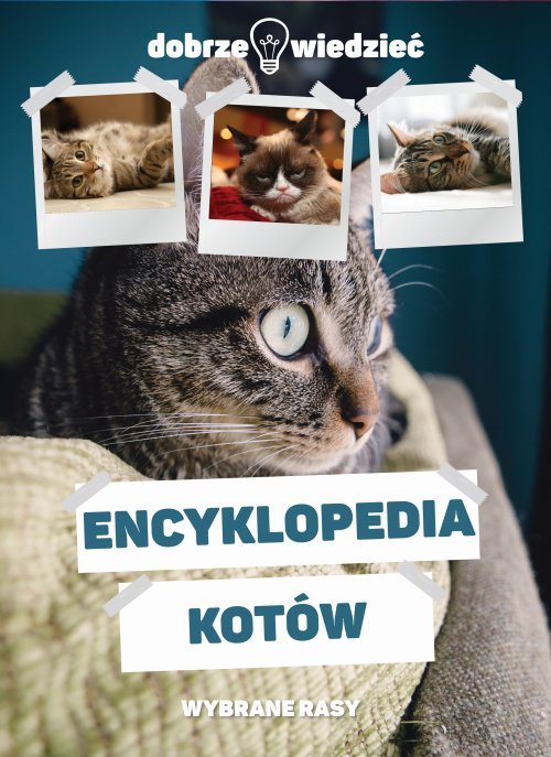 Encyklopedia kotów