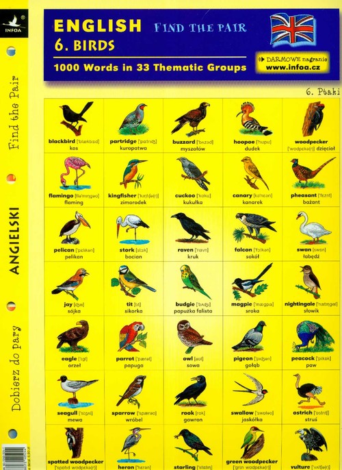 English. Find The Pair. Birds