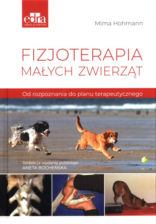 Fizjoterapia małych zwierząt