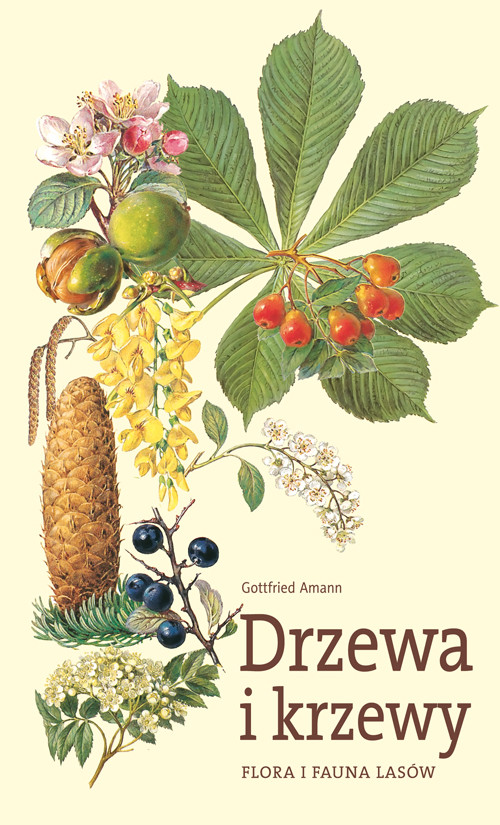 Flora i fauna lasów. Drzewa i krzewy