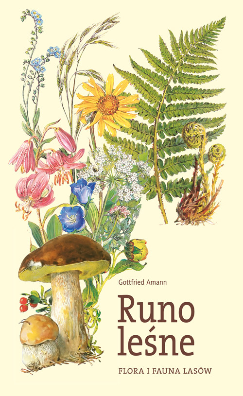 Flora i fauna lasów. Runo leśne