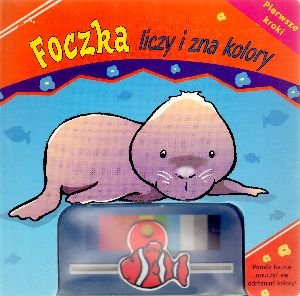 Foczka liczy i zna kolory