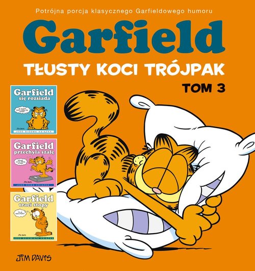 Garfield Tłusty koci trójpak Tom 3