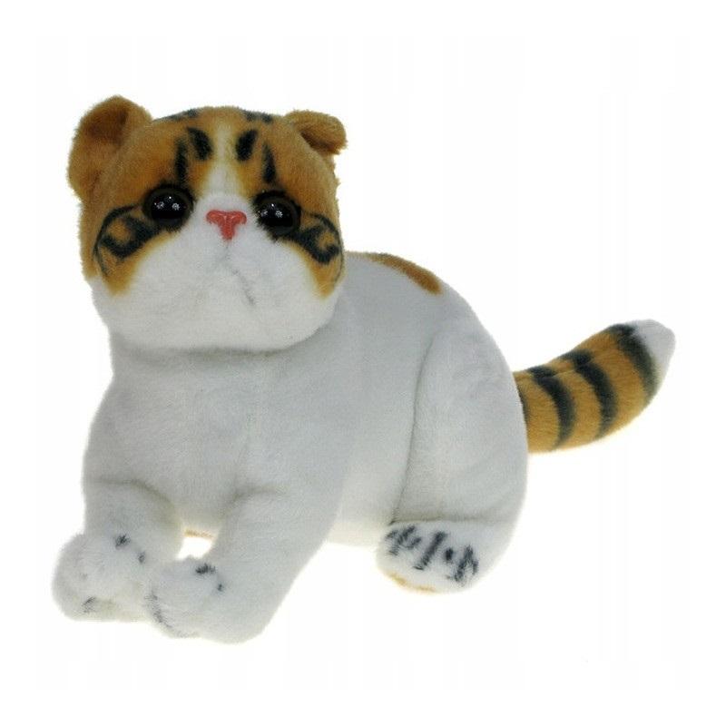 Geografia GIM KL 2 Podrecznik ABC geografii /2010/