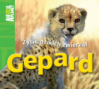 Gepard