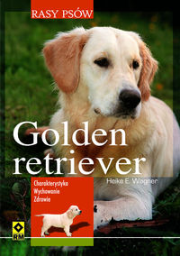 Golden retriever Rasy psów