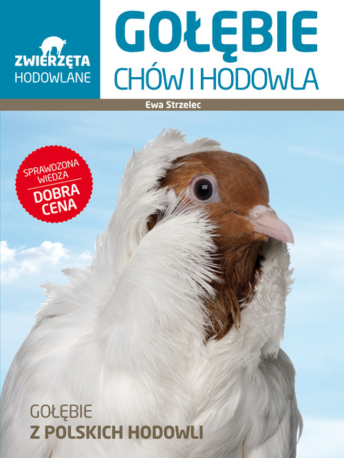 Gołębie. Chów i hodowla