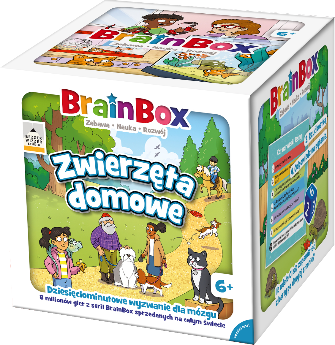 Gra BrainBox Zwierzęta domowe