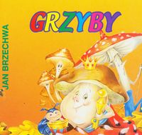 Grzyby
