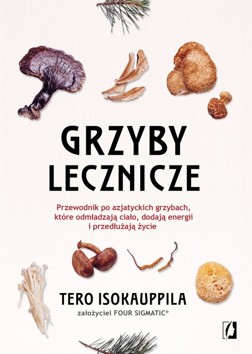 Grzyby lecznicze