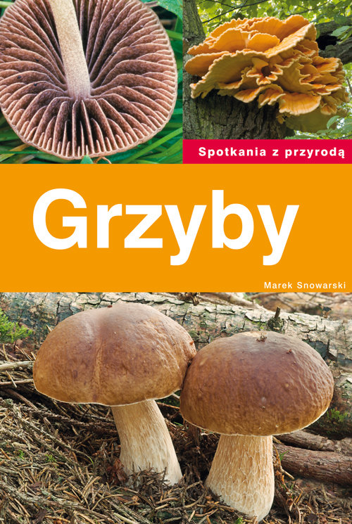Grzyby. Spotkania z przyrodą