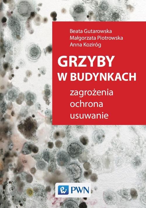 Grzyby w budynkach.