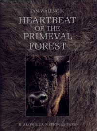 Heartbeat of the Primeval Forest