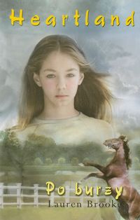 Heartland 2 Po burzy