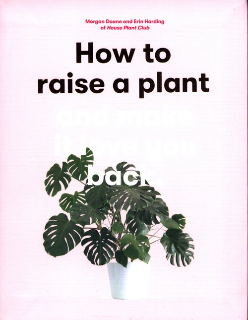 How to Raise a Plant and Make it Love You Back