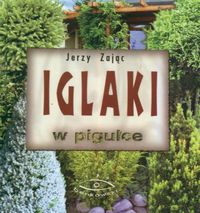 Iglaki w pigułce