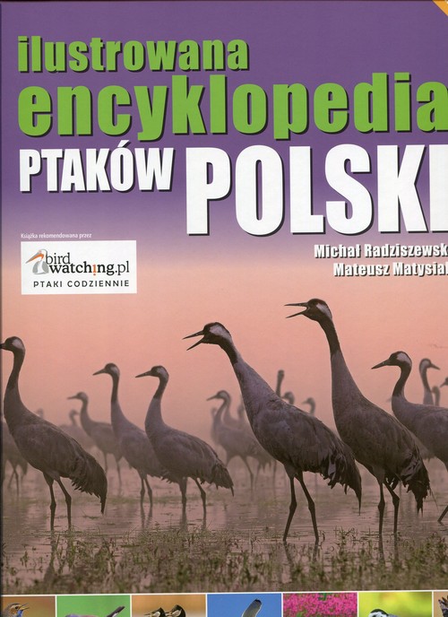Ilustrowana encyklopedia ptaków Polski