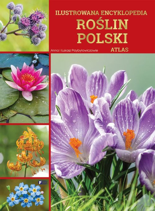 Ilustrowana encyklopedia roślin Polski Atlas