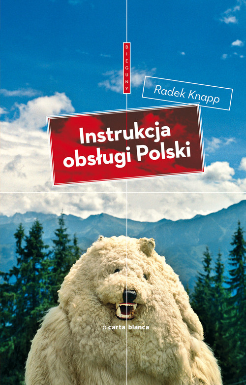 Instrukcja obsługi Polski