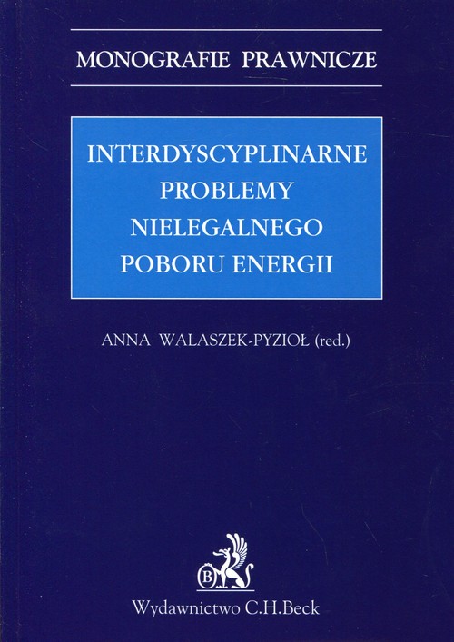 Interdyscyplinarne problemy nielegalnego poboru energii