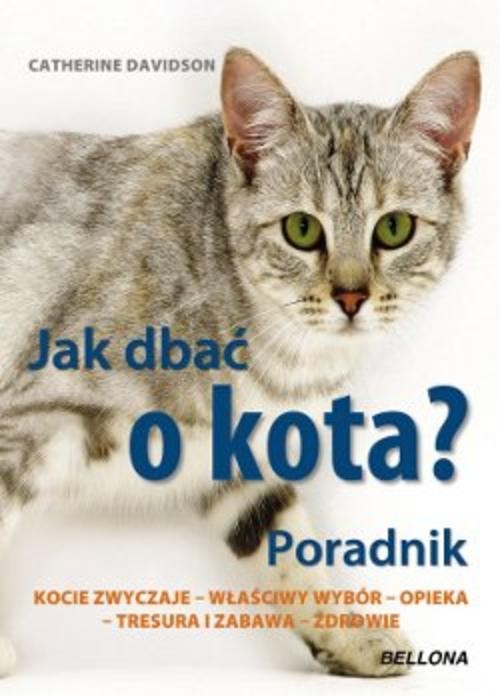 Jak dbać o kota? Poradnik