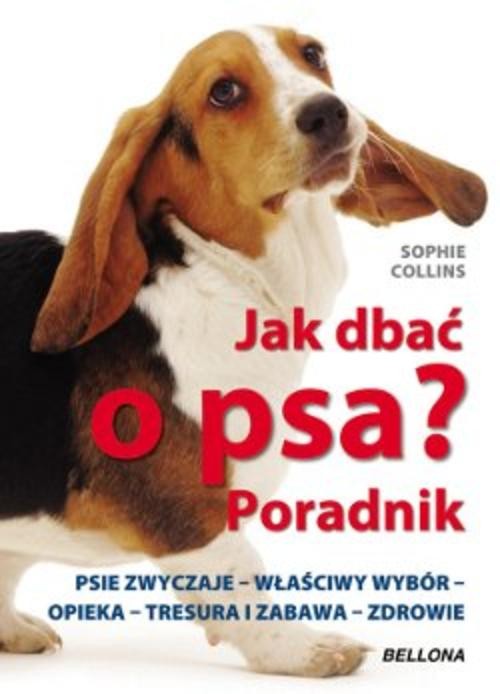 Jak dbać o psa? Poradnik