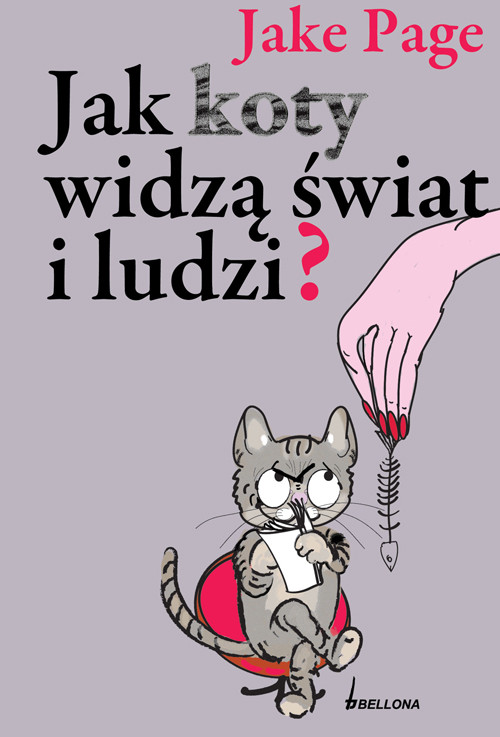 Jak koty widzą świat i ludzi