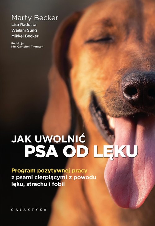 Jak uwolnić psa od lęku