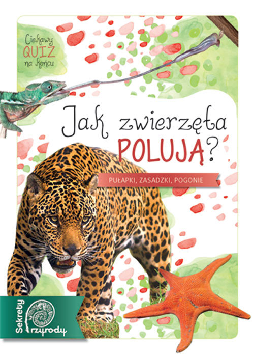 Jak zwierzęta polują?