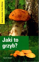 Jaki to grzyb?