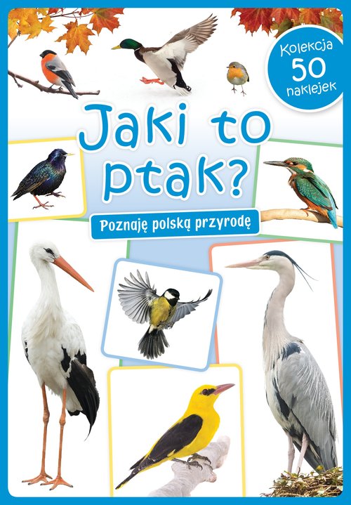 Jaki to ptak?