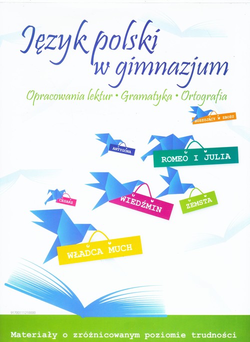 Język polski w gimnazjum