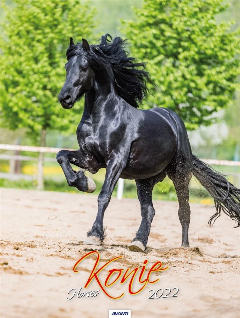 Kalenadarz 2022 ścienny mały Konie KSM5