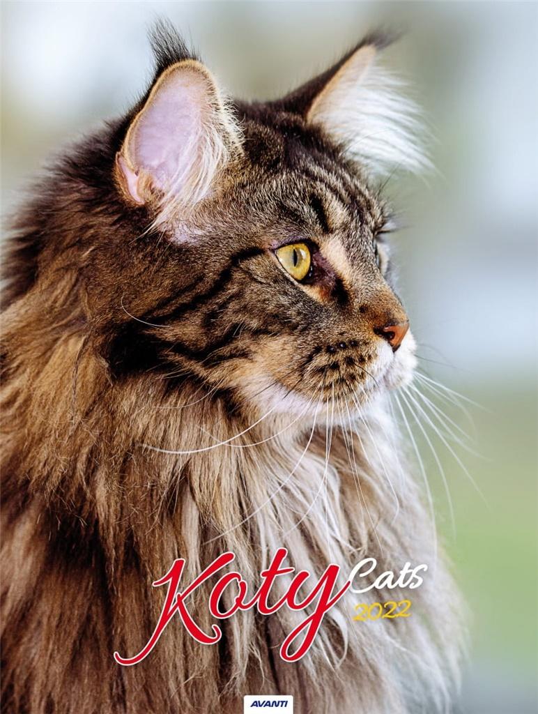 Kalenadarz 2022 ścienny mały Koty KSM4