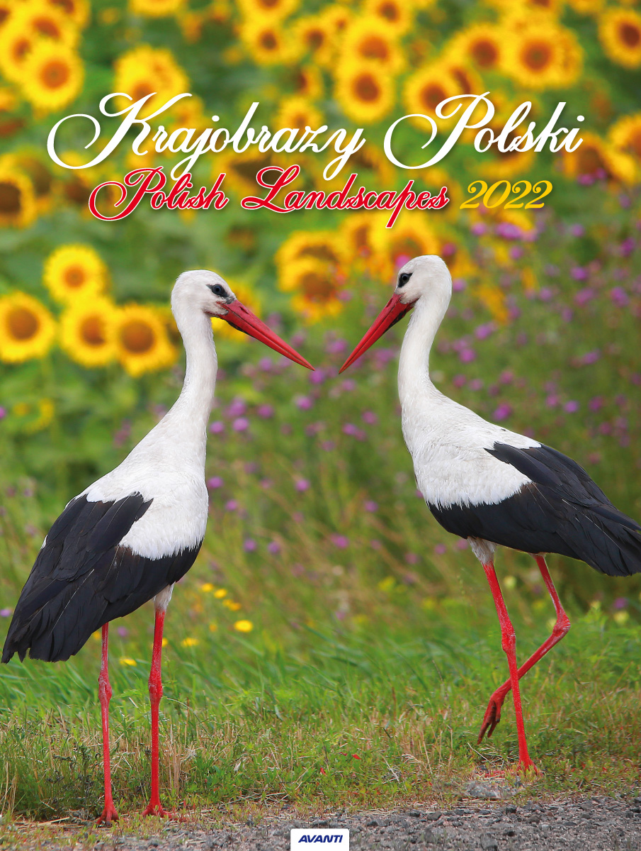 Kalenadarz 2022 ścienny mały Krajobrazy Polski KSMS1