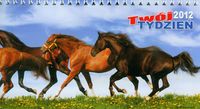 Kalendarz 2012 Twój tydzień A4