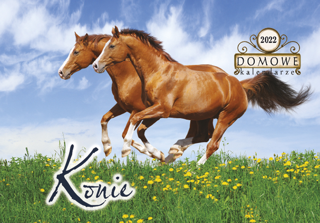 Kalendarz 2013. Kalendarz ścienny - Konie