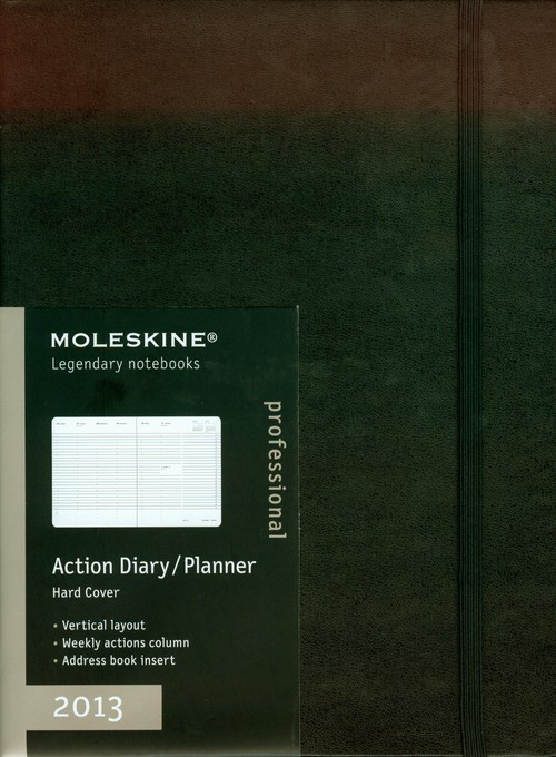Kalendarz 2013 Moleskine Action w linie