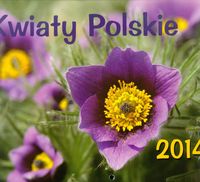 Kalendarz 2014 Kwiaty polskie wiszący