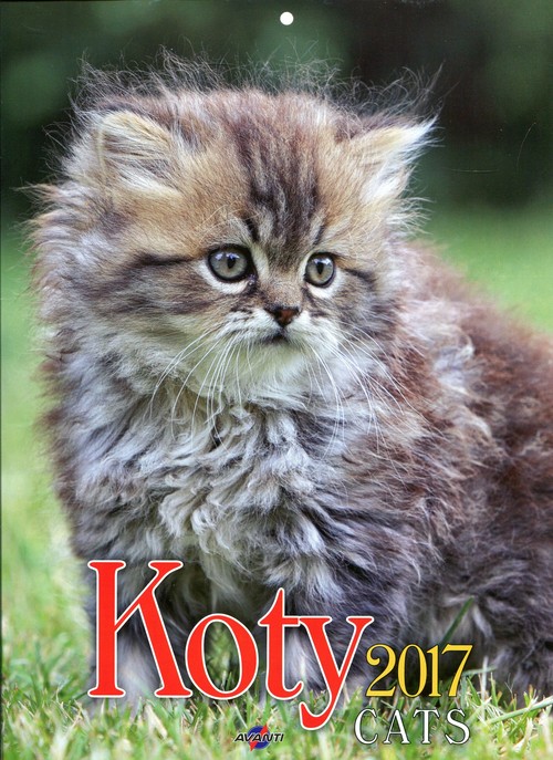 Kalendarz 2017 KSM-4 ścienny mały Koty