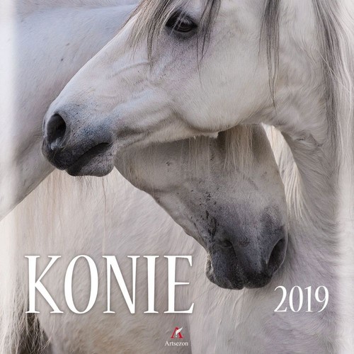 Kalendarz 2020 ścienny kwadrat Konie